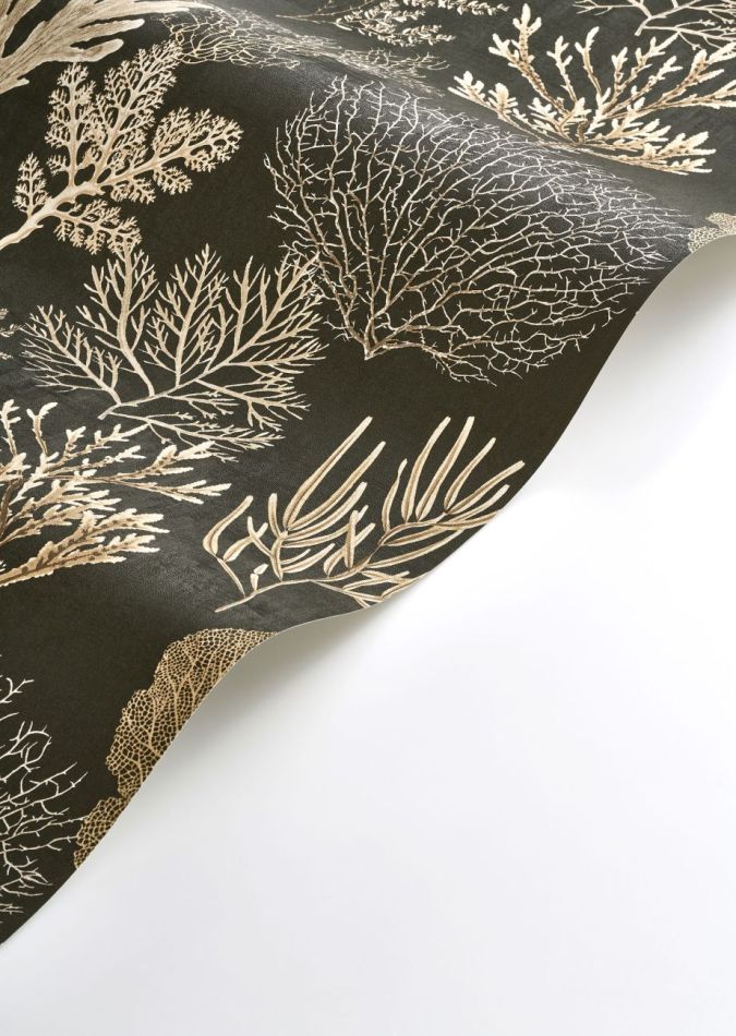 Preview: Corail 83979808 Noir fusain