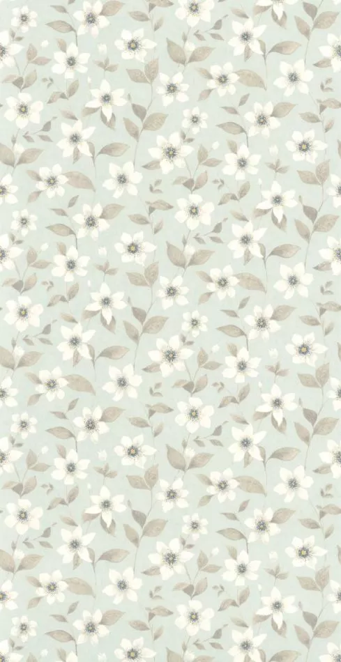 Gardens Clematites 87646120 Bleu grise