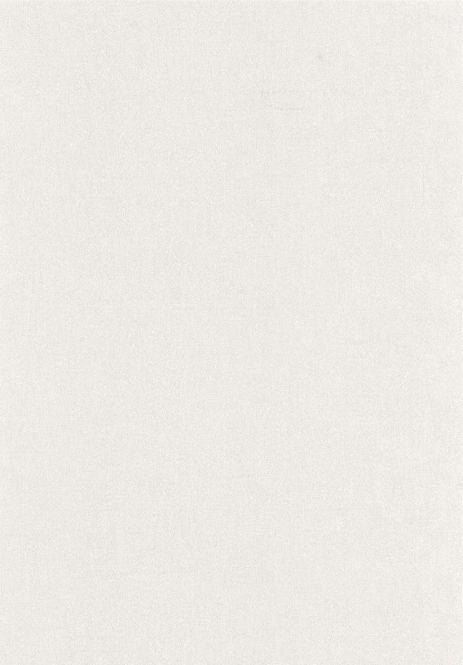 Preview: Empreinte 88700108 Blanc givre