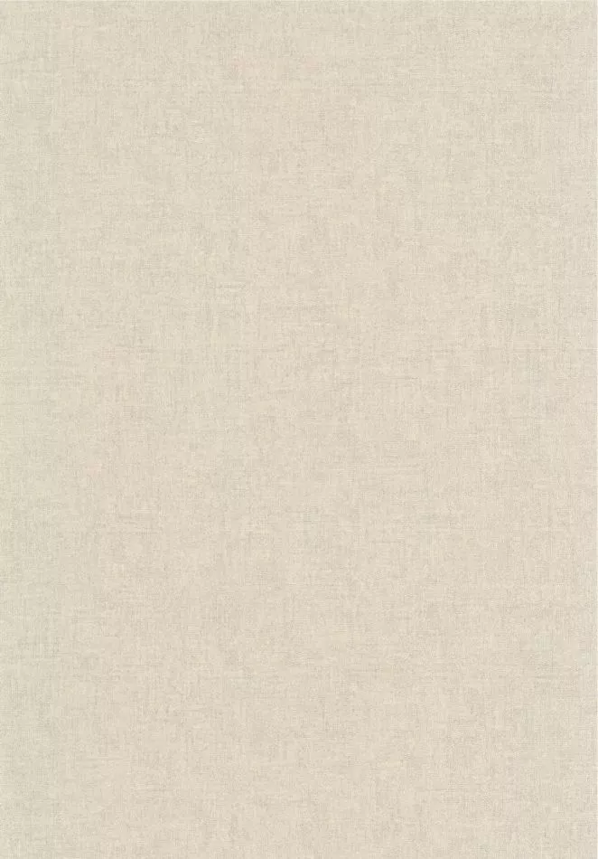 Empreinte 88709163 Gris plume