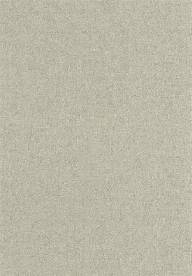 Preview: Empreinte 88709218 Argile