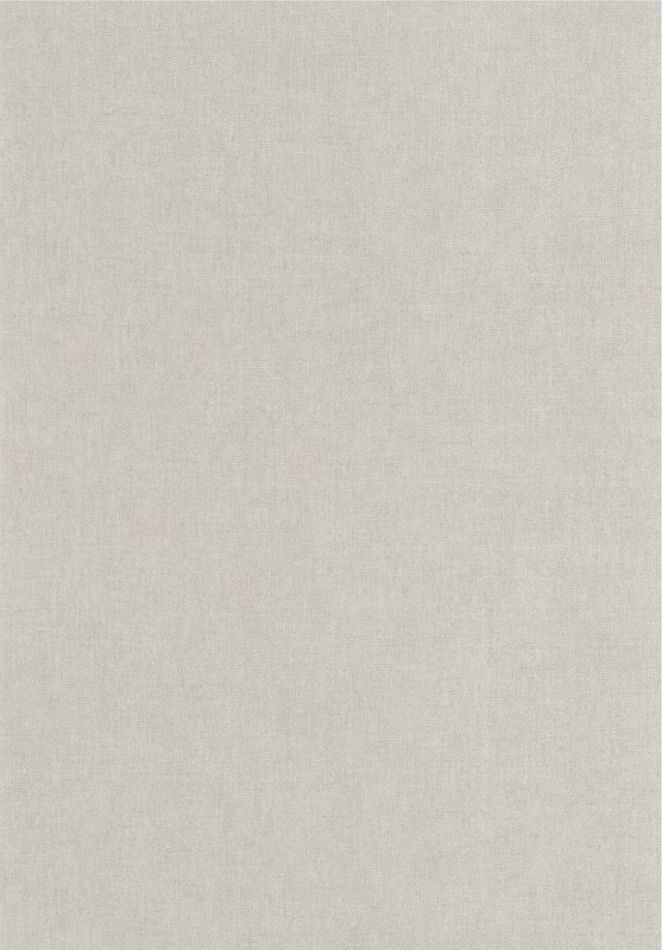 Preview: Empreinte 88709312 Gris nuage