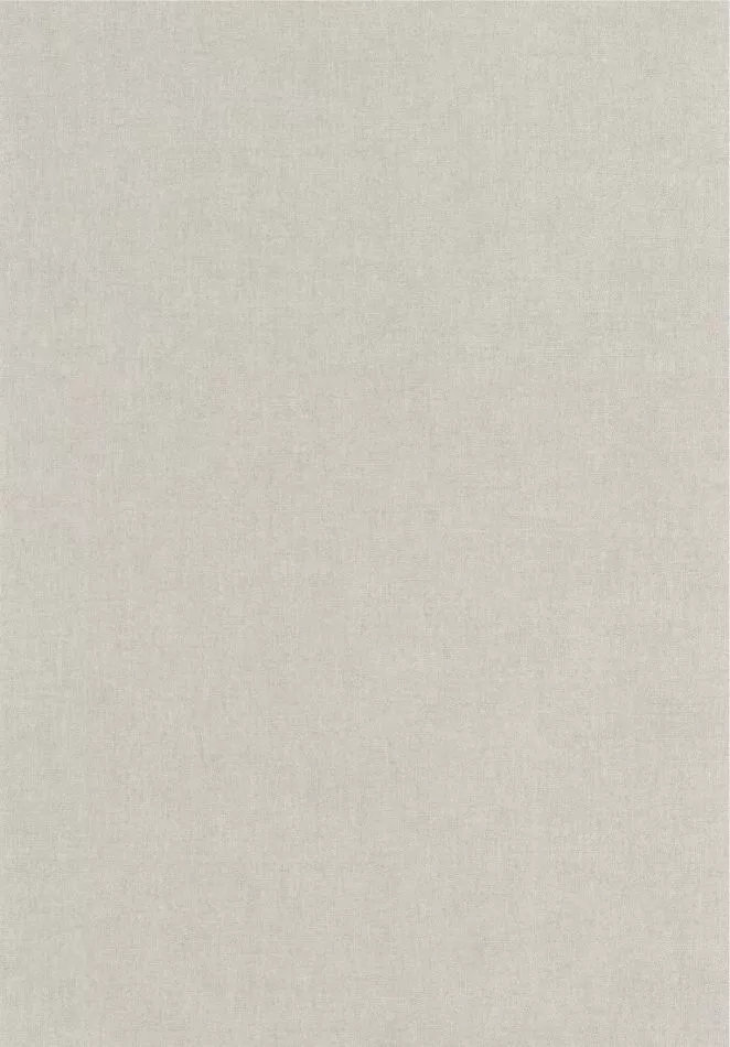 Empreinte 88709312 Gris nuage