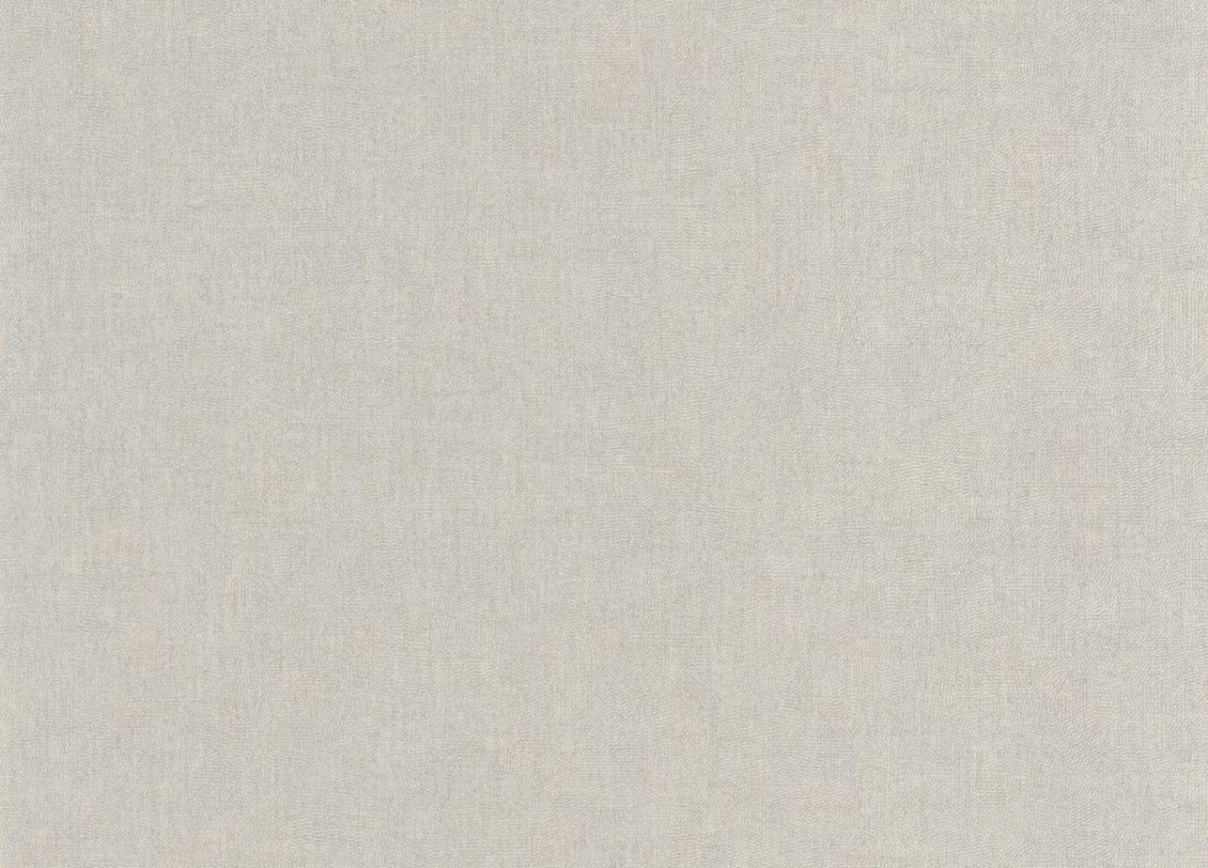 Preview: Empreinte 88709312 Gris nuage