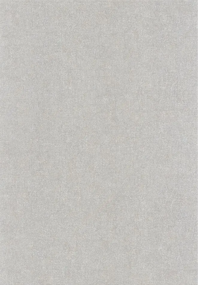 Empreinte 88709461 Gris souris
