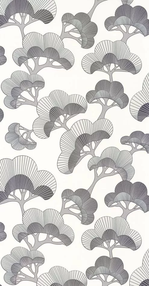 Kyoto Goyo Matsu 88719211 Noir fusain