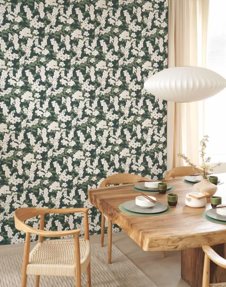 Kyoto Ume 88737796 Vert matcha