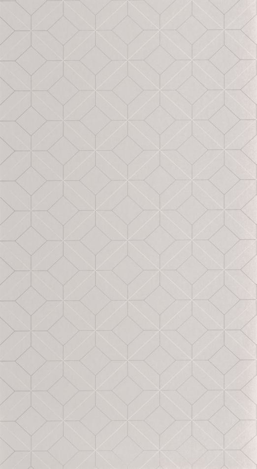 Preview: Alchimie Precision 89969700 Gris plume