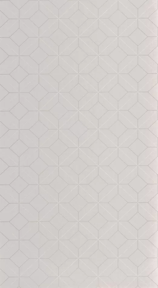 Alchimie Precision 89969700 Gris plume