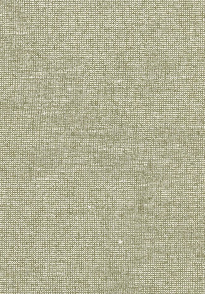 Preview: Essentials Chanderi 91511 Pistachio