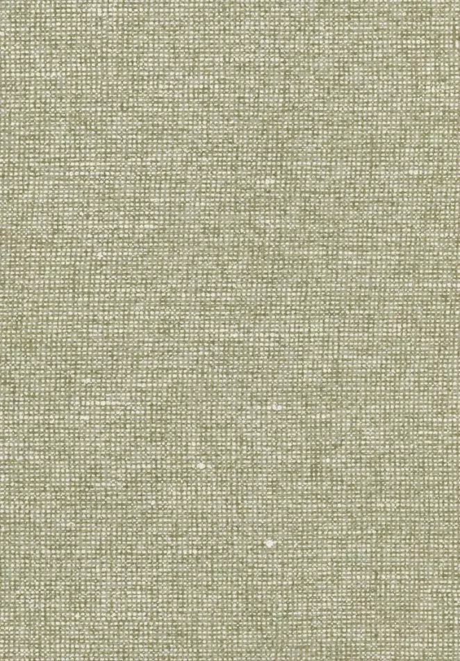 Essentials Chanderi 91511 Pistachio