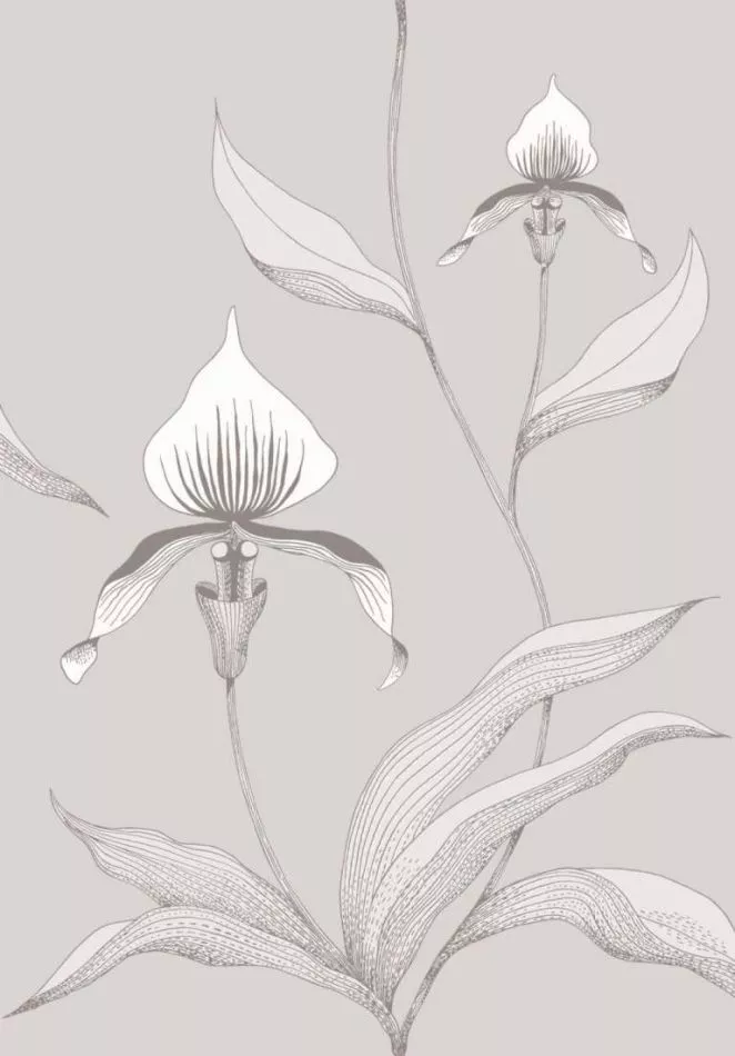 Orchid 95/10055
