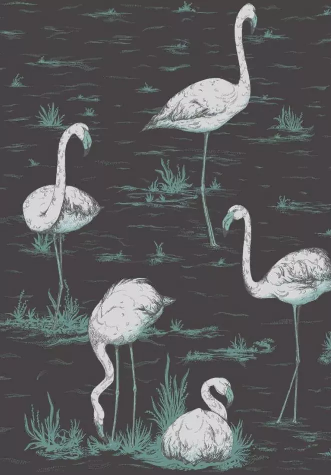 Flamingos 95/8048