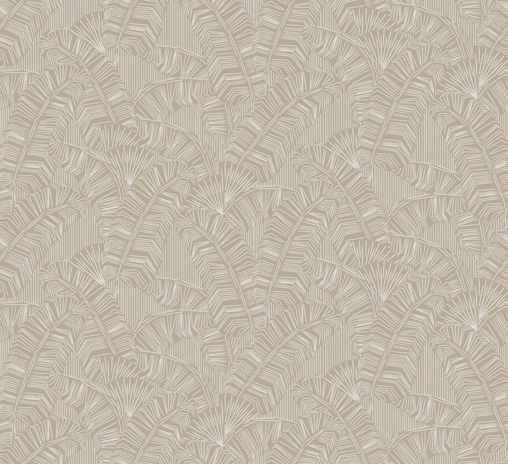 Preview: Solana White AMA401