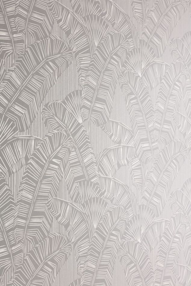 Preview: Solana Cloud AMA404