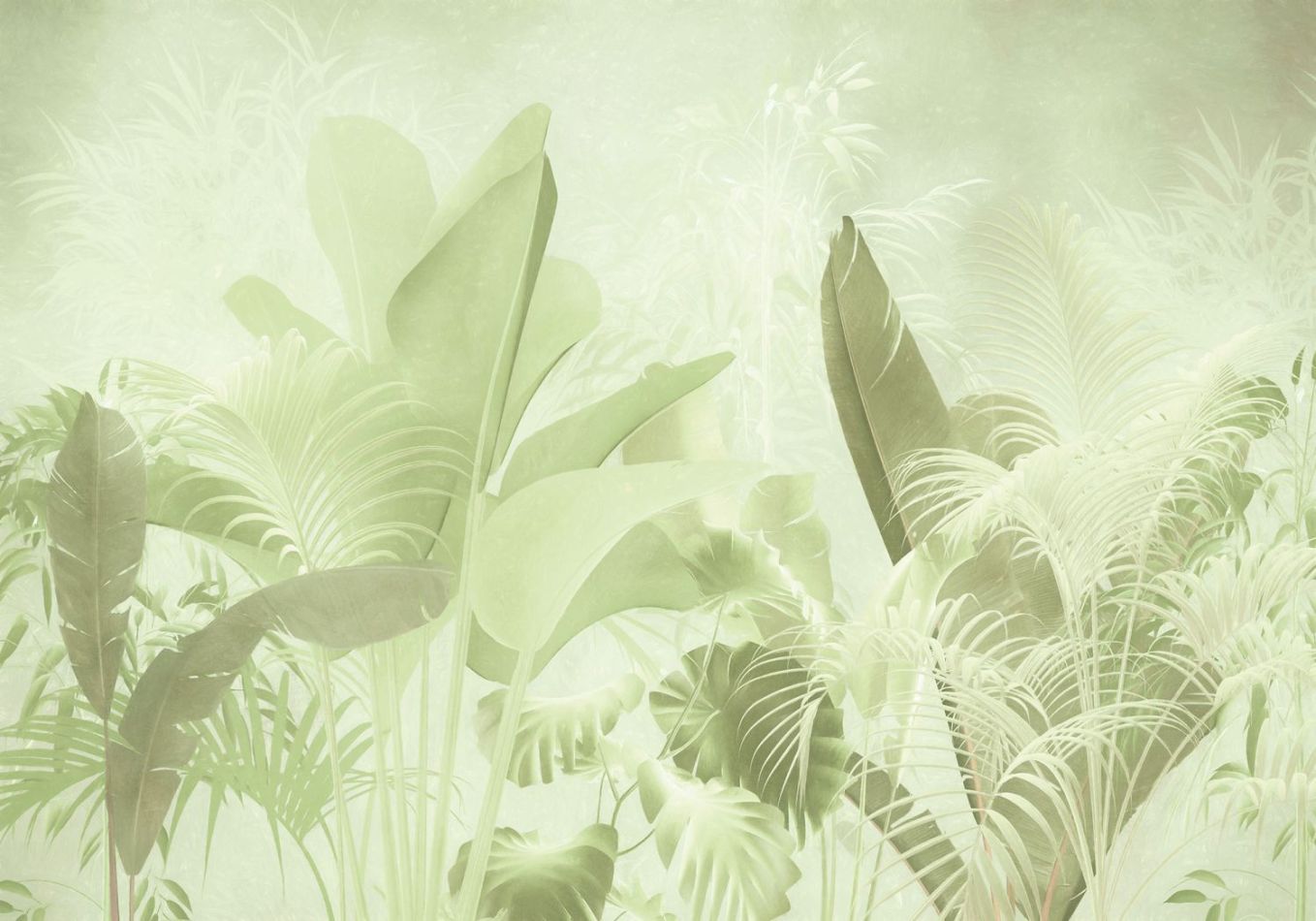 Preview: Abditory BL4-022