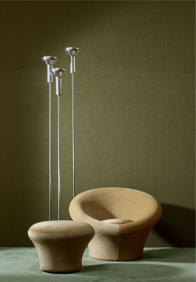 Étamine 29250 Oregano