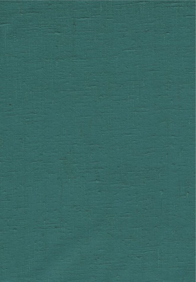 Étamine 29252 Petrol