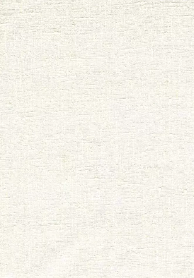 Étamine 29256 Pillow