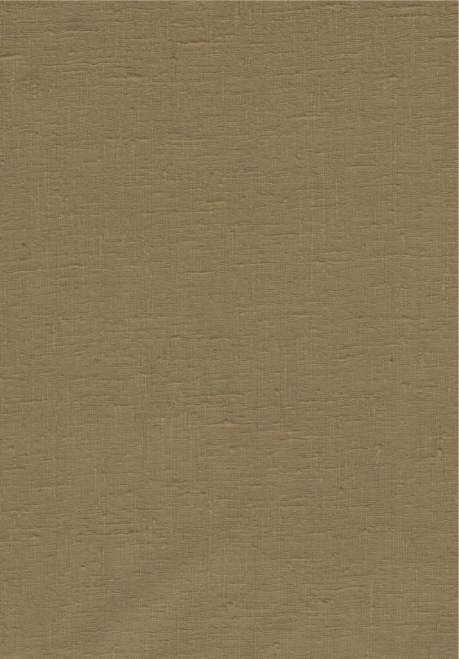 Étamine 29258 Coconut