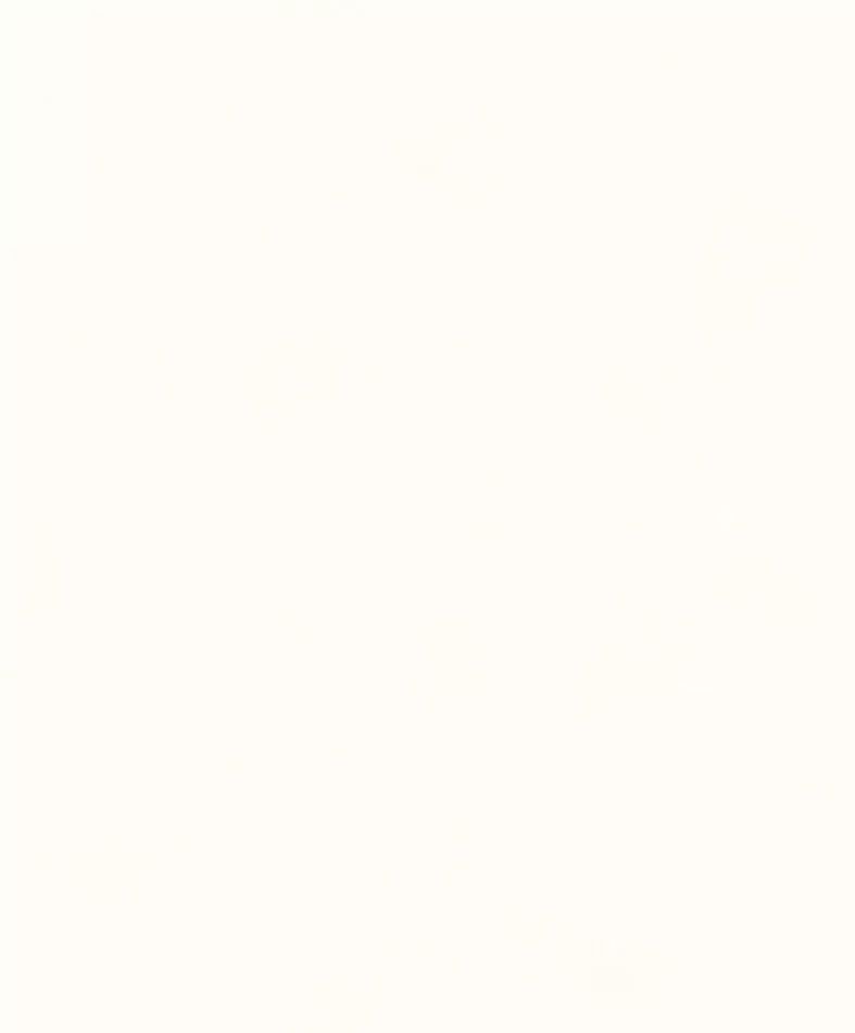 Color Egret BLONE1001