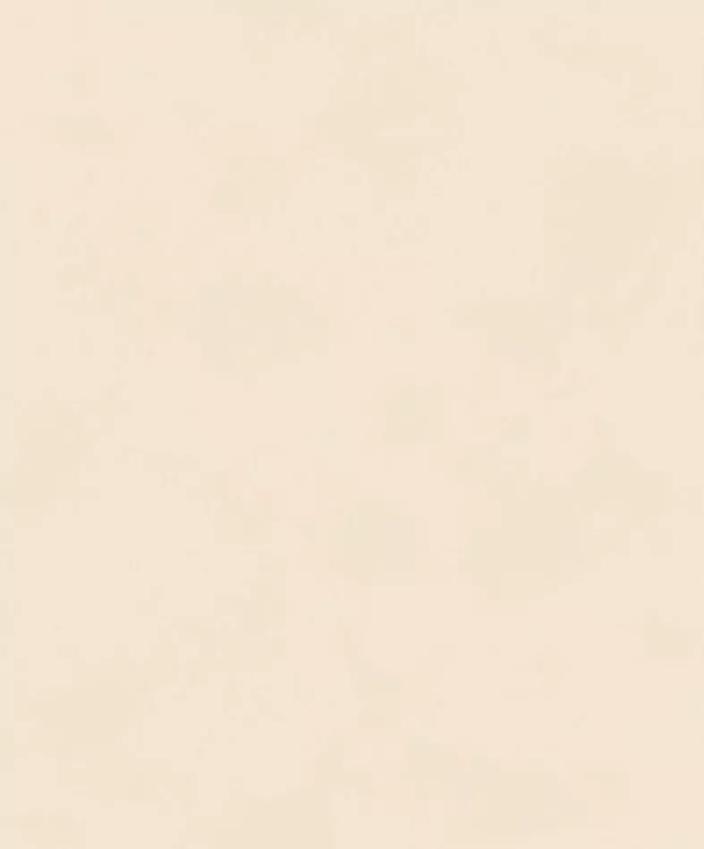 Color Parchment BLONE1005