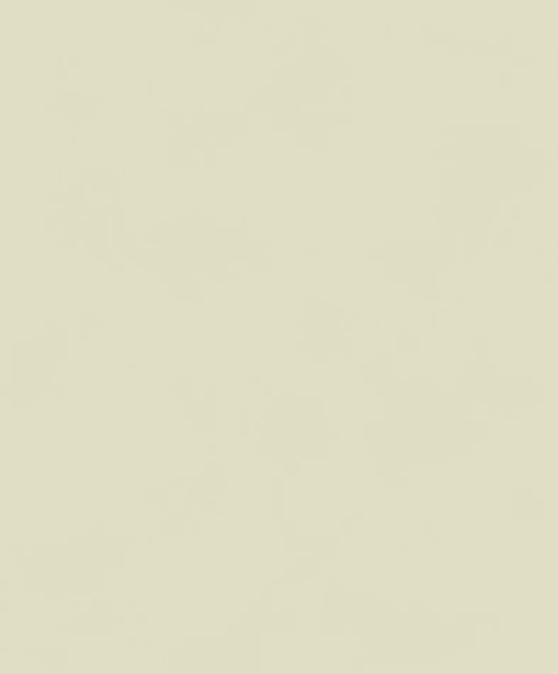 Color Cement BLONE1007