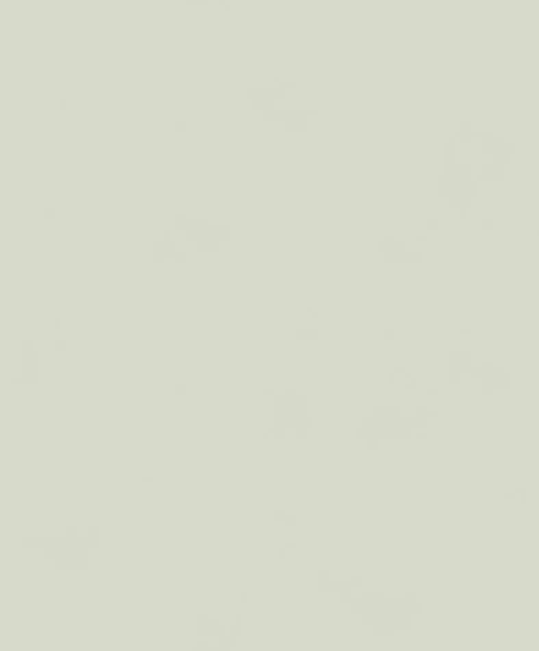 Color Meadow BLONE1009