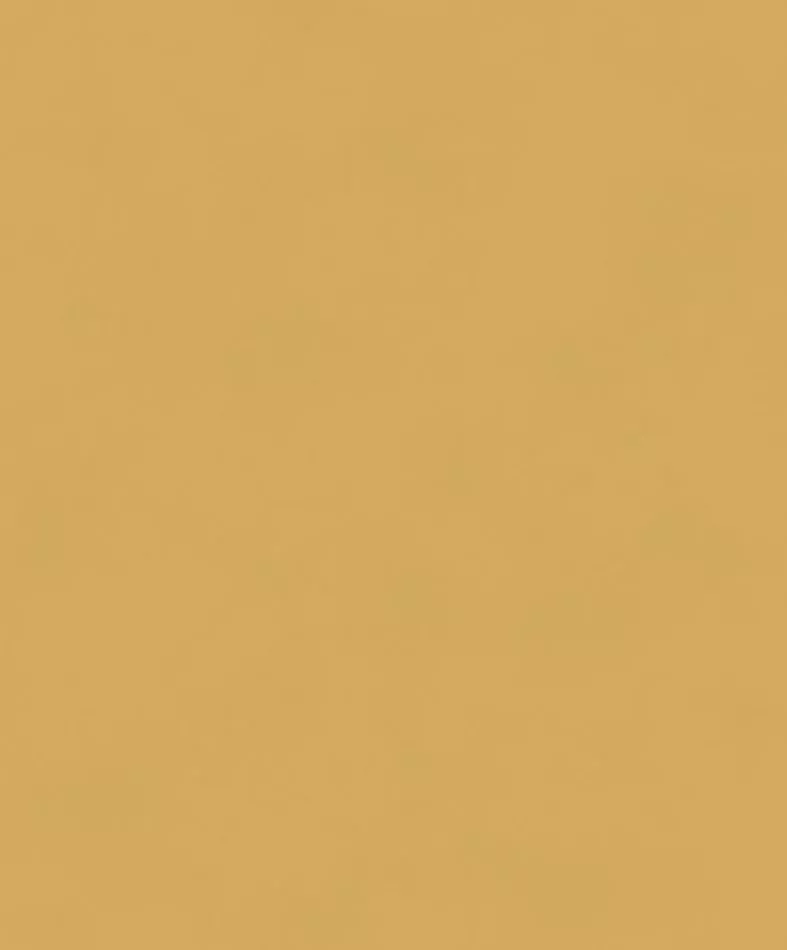 Color Gold BLONE1011