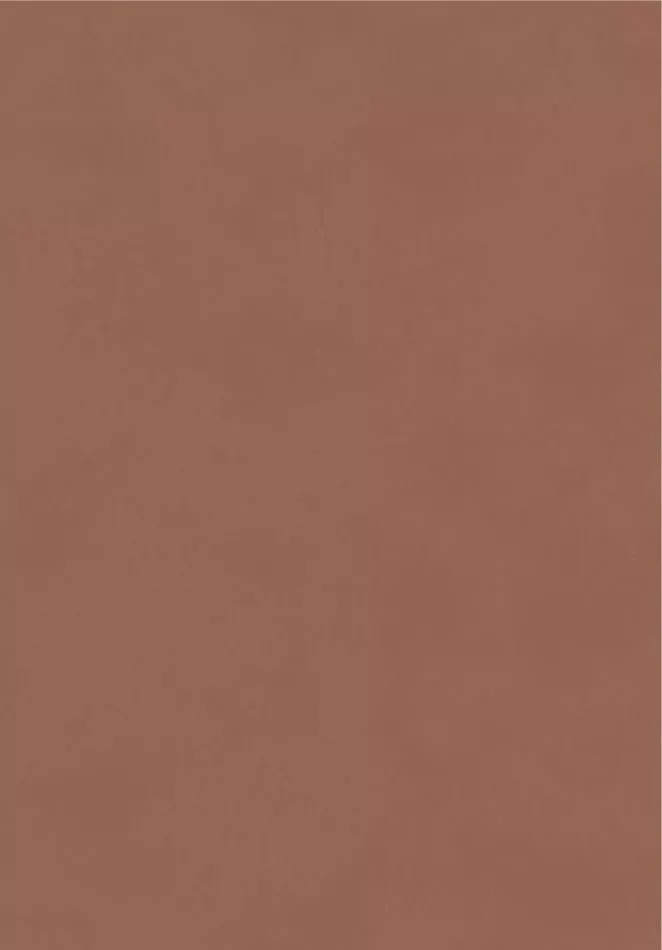 Color Terra BLONE1013