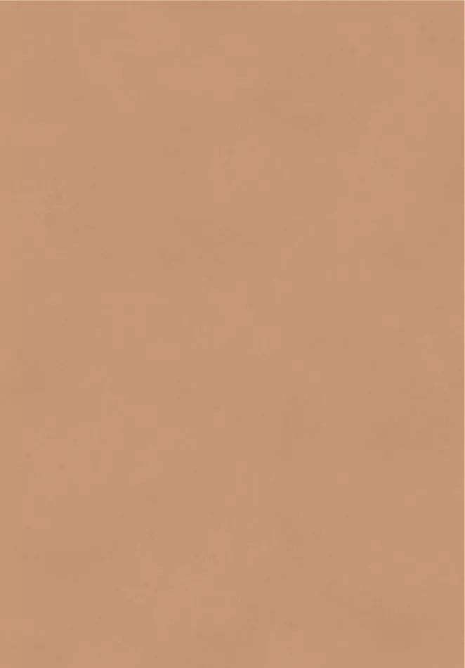 Color Camel BLONE1014