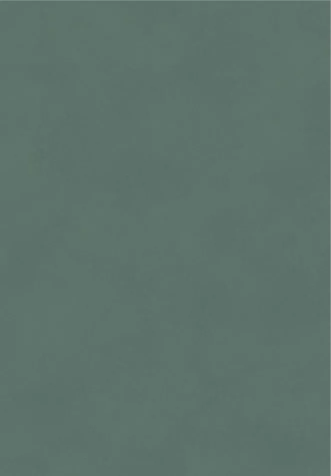 Color Pine BLONE1015