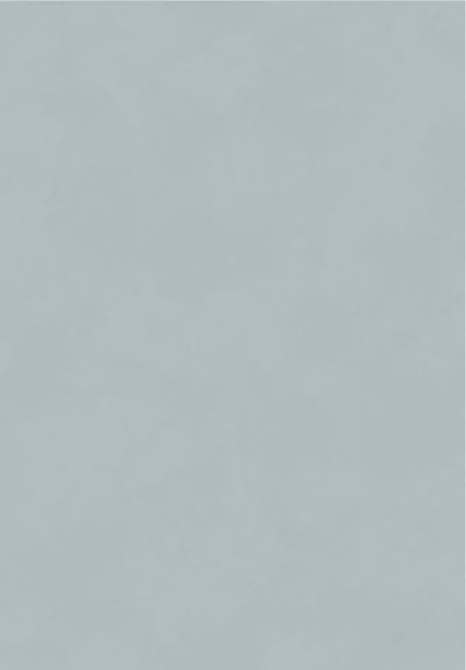 Color Harbor BLONE1018