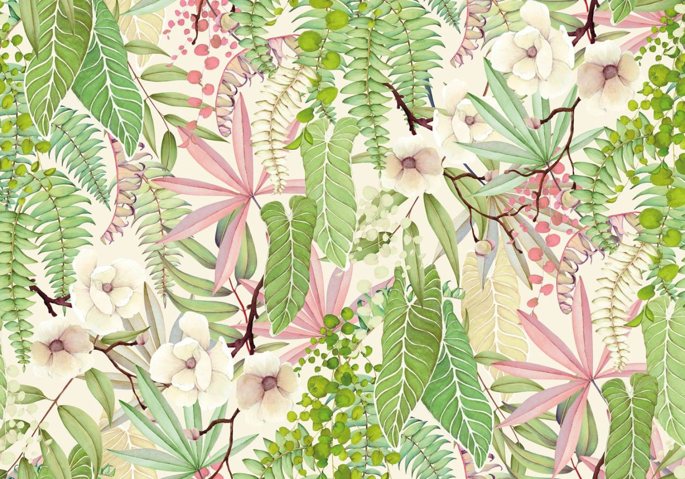 Preview: Bonita BL4-028