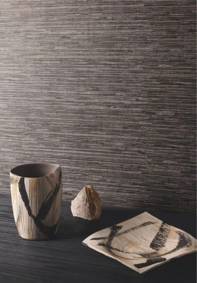 Stria meteorite CAL301