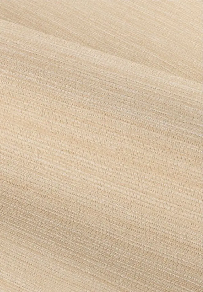 Safra 78212344 Coquille