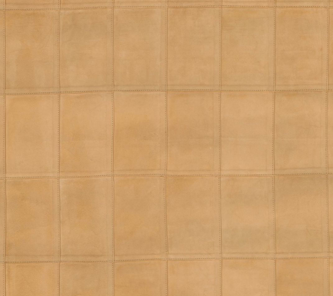 Preview: Avenio 27471 Camel