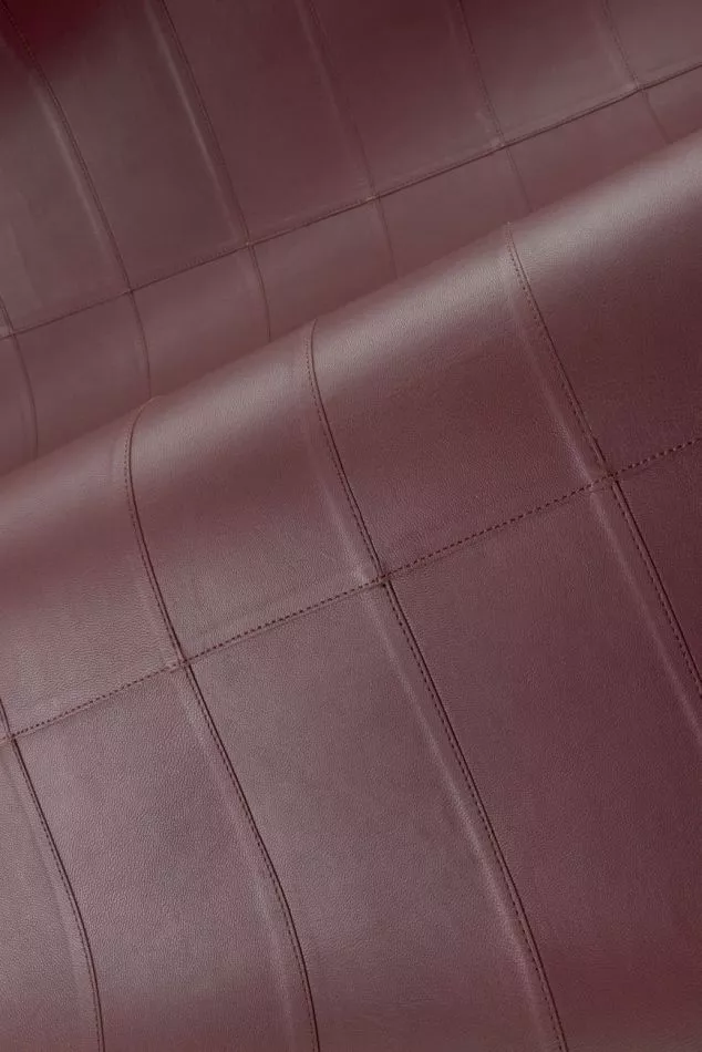 Paladin 27455 Nightfall