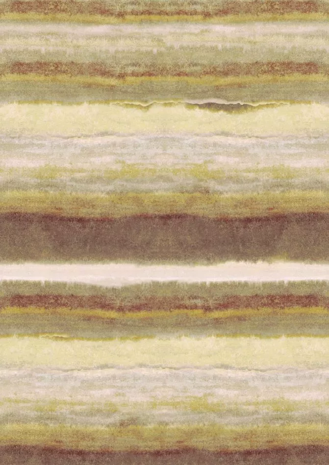 Coast Sunflower DG4COA102 - 260