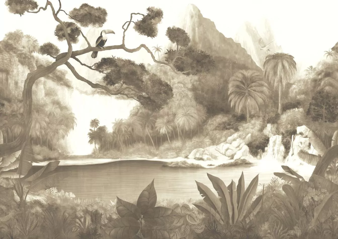 Toucan Sepia DG4TOU101 - 300