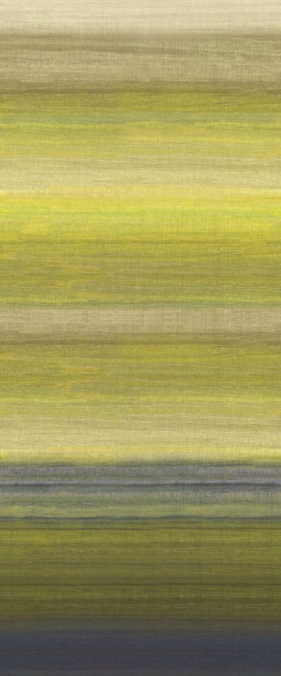 Preview: Chanderi Lime DGRIC206 - 260