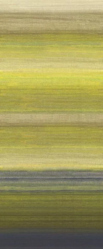 Chanderi Lime DGRIC206 - 260