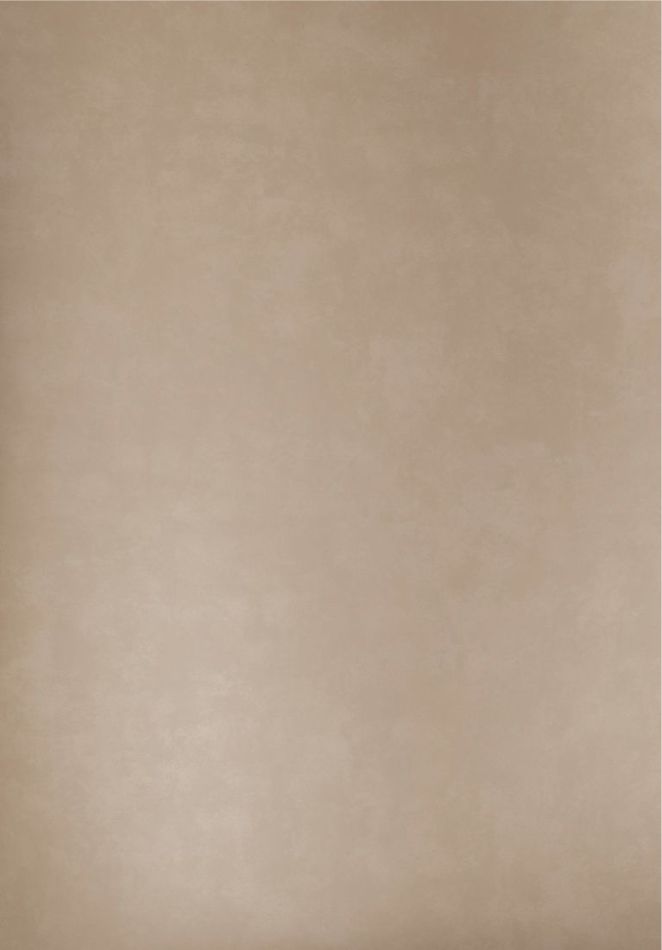 Preview: Plain DW1007 Velvet Champagne