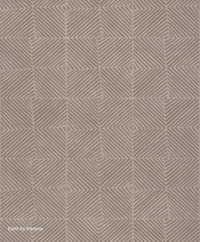 Preview: Tyre Taupe EAR303