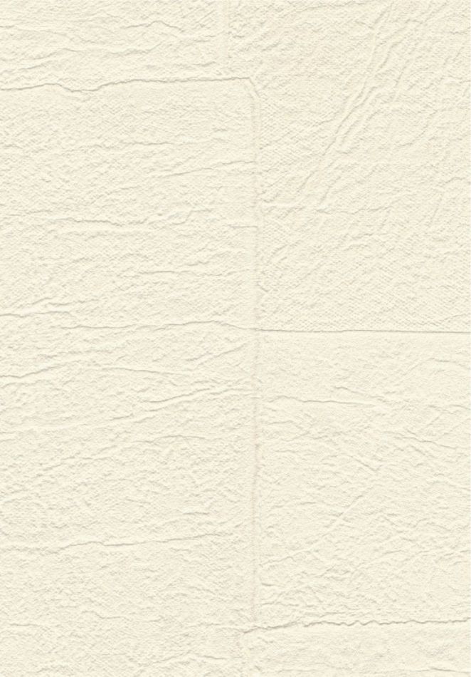 Preview: Sangpi VP1018 01