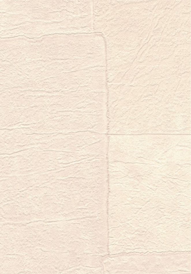 Preview: Sangpi VP1018 03