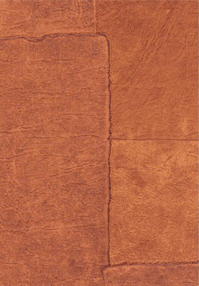 Preview: Sangpi VP1018 35