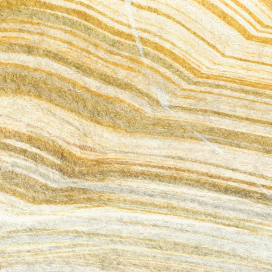 Terres emmêlées VP1033 01