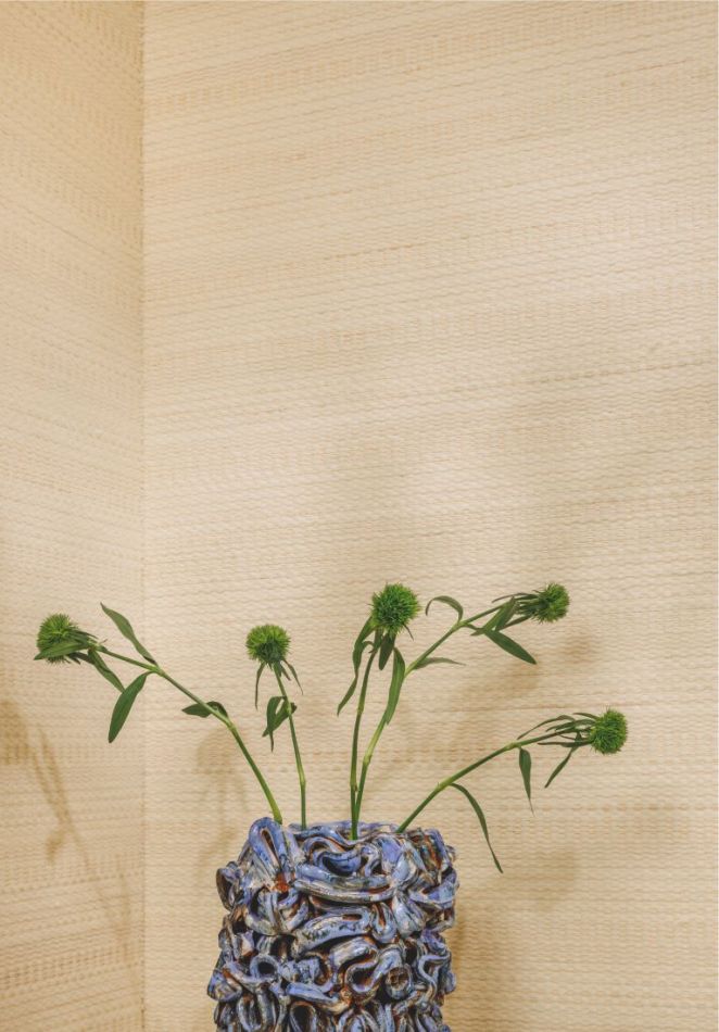 Preview: Enlacé RM1109 01