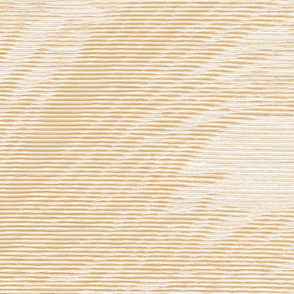 Preview: Palmeraie RM1123 01